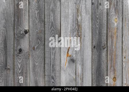 Gray wooden wall made of uncolored pine wood planks, background photo texture, front view Stock Photo