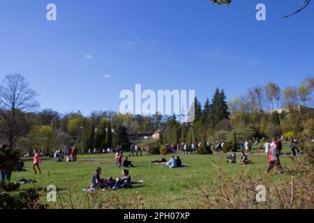 people relax on the grass on Sunday in the city Park Stock Photo