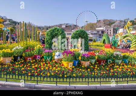 Beautiful tulip landscaping design in the four seasons garden of Everland Stock Photo