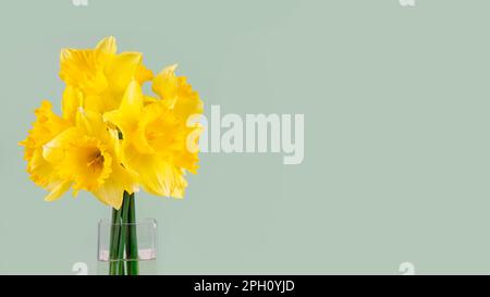 Bouquet of yellow bright daffodils flowers, Easter bells in vase on green background. Blooming spring flowers. Mockup, template for holiday, birthday, Stock Photo