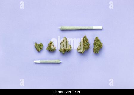 Dry buds of medical marijuana lie in a row, on top of a king size joint made of white paper, on the bottom a small joint.  On a lavender background, c Stock Photo