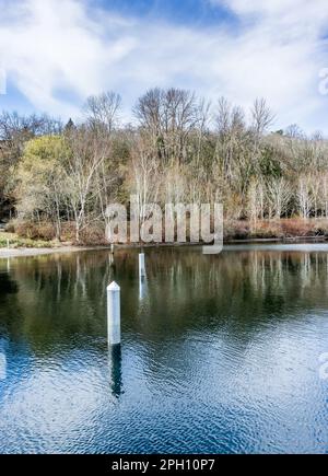 Trres along Lake Washington in Seattle. It is early spring Stock Photo ...
