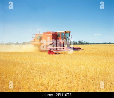 Australia. Agriculture. Wheat harvesting. Combine harvester. Stock Photo