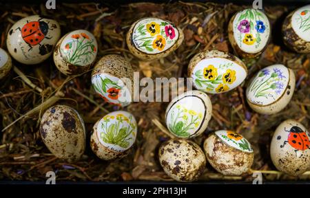 25 March 2023, Lower Saxony, Lübeln: Colorfully painted eggs lie in a basket. At the traditional Easter egg market in the Rundlingsmuseum, Easter eggs of different types and sizes are on display, decorated and painted. Photo: Philipp Schulze/dpa Stock Photo