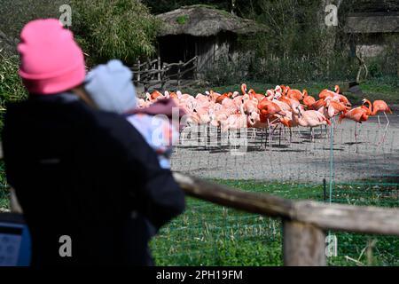 Prague, Czech Republic. 25th Mar, 2020. A woman with a protection face ...