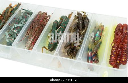 Jig silicone fishing lures in plastic tackle lure box. Silicone fishing baits isolated. Colorful baits. Fishing spinning bait. Silicone soft plastic b Stock Photo