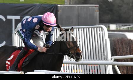 Newbury, UK. 25th Mar 2023. Aidan Coleman wins the 3.50 Goffs UK Spring Sale Bumper on Crest of Glory, trained by Anthony Honeyball, at Newbury Racecourse, UK. Credit: Paul Blake/Alamy Live News. Stock Photo