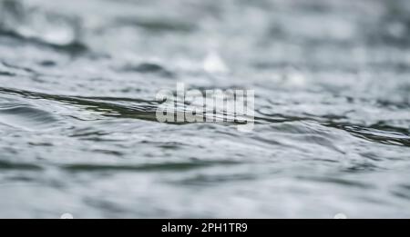 Smooth water river surface only small waves, closeup abstract detail with shallow depth of field focus Stock Photo