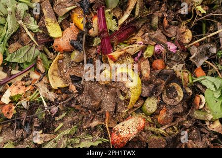 Pile of garden compost - vegetable and fruit remains from kitchen - closeup detail from above Stock Photo