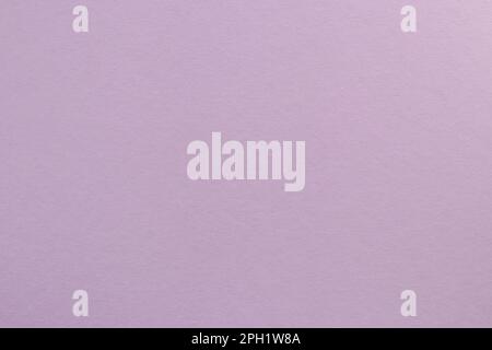 Lilac colored tinted paper sheet background. Pastel purple, pale violet color shade. Stock Photo