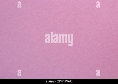 Powdery pink colored tinted paper sheet background. Stock Photo