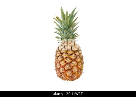 Pineapple tropical whole fruit isolated on white. Ripe Ananas comosus. Stock Photo