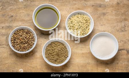 collection of hemp seed products: hearts, protein powder, milk and oil in small white bowls against textured bark paper, superfood concept Stock Photo