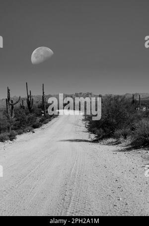 Moon rising over Dirt road leading off into the desert mountains of Arizona Stock Photo