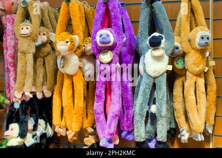 monkey soft toy on sale Edinburgh souvenir  zoo gift shop Stock Photo
