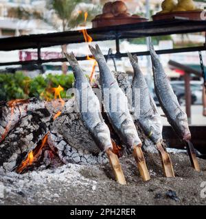 Sardines cooking in a traditional Spanish way on BBQ with sticks  Stock Photo
