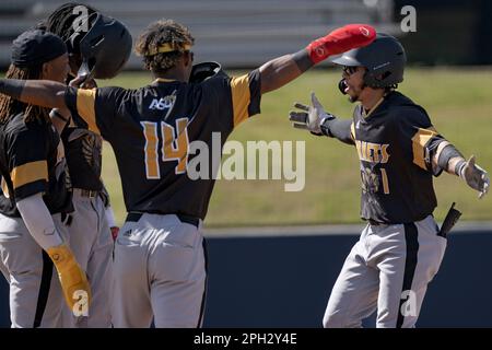 Alabama State infielder Randy Flores (1) celebrates a home run with Alabama  State catcher Jamal George (14) and other players during an NCAA baseball  game against Jackson State on Saturday, March 25