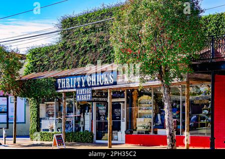 Thrifty Chicks vintage market is pictured, March 20, 2023, in Lucedale, Mississippi. The store, located on Main Street, sells vintage items. Stock Photo