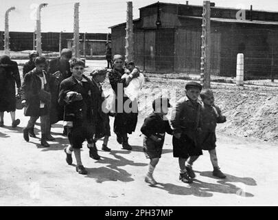 Children from Carpathian Ruthenia walking towards the gas chambers. After the selection process on the train station platform, those doomed to die were walked directly to the gas chambers. Stock Photo