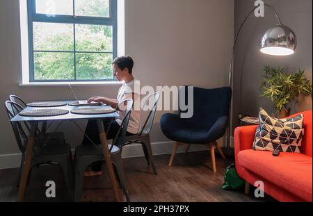 Woman working on her laptop in a stylish apartment Stock Photo