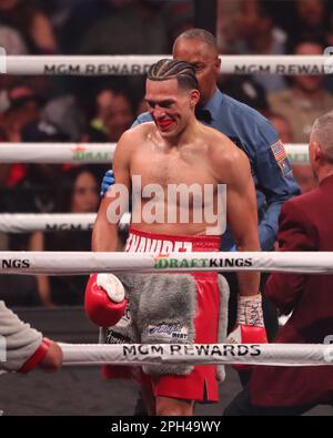 Las Vegas, Nevada, USA. 25th Mar, 2023. LAS VEGAS, NV - MARCH 25: David Benavidez reacts in his Interim WBC World Super Middleweight Title bout at the MGM Grand Garden Arena on March 25, 2023 in Las Vegas, NV, United States. (Credit Image: © Alejandro Salazar/PX Imagens via ZUMA Press Wire) EDITORIAL USAGE ONLY! Not for Commercial USAGE! Stock Photo