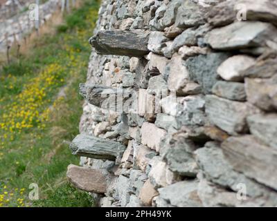 Stone wall with stone steps built into it in order to climb up the terraced nature of the vineyard, Aosta Valley, Italy Stock Photo