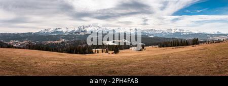 View of the panorama of the Tatra Mountains from the Łapszanka pass. Early spring. Snow-covered peaks of the Tatras, melting snow in the mountain past Stock Photo