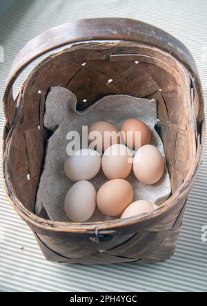 don’t put all your eggs in one basket. popular proverbs and sayings Stock Photo