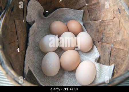 don’t put all your eggs in one basket. popular proverbs and sayings Stock Photo