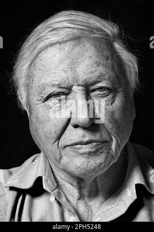 David Attenborough portrait, Black and White Stock Photo