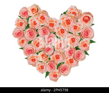 Beautiful heart made of of pink red roses isolated on white background. Stock Photo
