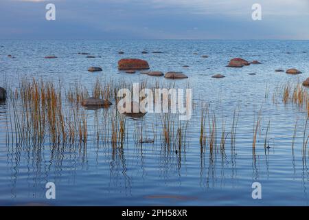 Boulders on the shore of the Baltic sea. Cloudy sunset. Stock Photo