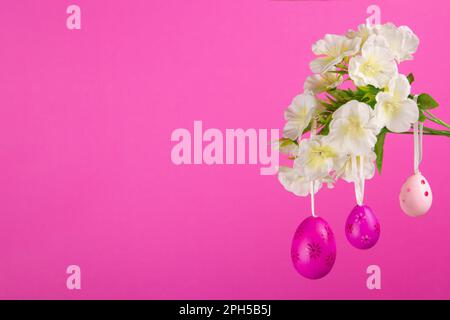 Colorful springtime pic with three pink Easter eggs delicately suspended from a blooming branch, set against a vibrant magenta background Stock Photo