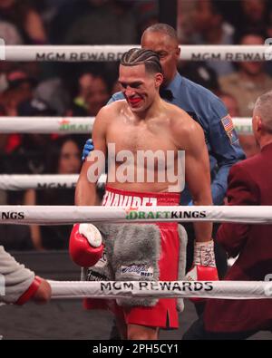 LAS VEGAS, NV - MARCH 25: David Benavidez reacts in his Interim WBC World Super Middleweight Title bout at the MGM Grand Garden Arena on March 25, 2023 in Las Vegas, NV, United States. (Photo by Alejandro Salazar/PxImages) Stock Photo