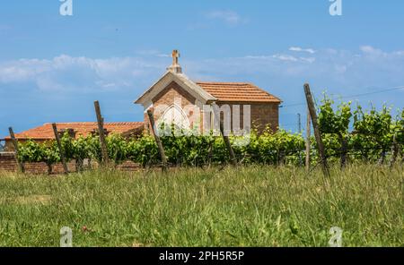 small chapel at the Gambassi Terme countryside. Vineyard in spring - Tuscany region, central Italy Stock Photo