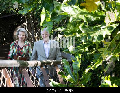 Cape Town, South Africa. 26th Mar, 2023. Queen Mathilde and King Philippe - Filip of Belgium visit the Kirstenbosch National Botanical Garden in Cape Town, during a state visit of the Belgian Royal Couple to the Republic of South Africa, in Cape Town, Sunday 26 March 2023. BELGA PHOTO BENOIT DOPPAGNE Credit: Belga News Agency/Alamy Live News Stock Photo