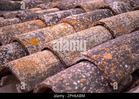 Detail of old roof with old weathered and aged curved tiles and with soft morning lighting Stock Photo