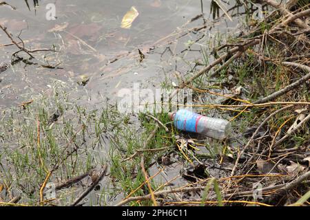 A plastic bottle thrown away polluting village pond at Ashtead, Surrey, England, UK, 2023 Stock Photo