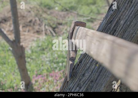 ax that its wood Stock Photo