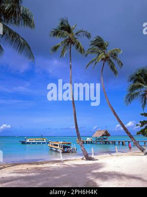 Pigeon Point, Tobago, Trinidad and Tobago, Lesser Antilles, Caribbean Stock Photo