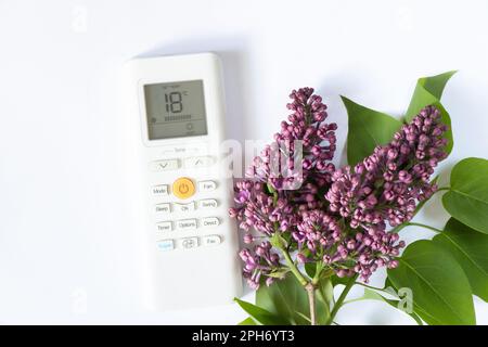 white remote control from the air conditioner and a branch of blooming siren on an isolated background close-up Stock Photo