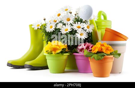 Spring time, pots colorful primroses and a large vase of daisies, surrounded by green rubber boots and watering can. Pots of flowers and gardening too Stock Photo