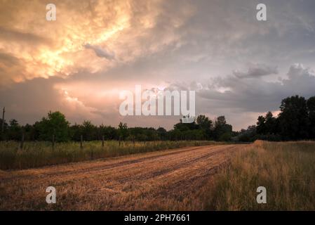 Sunset over the field Stock Photo