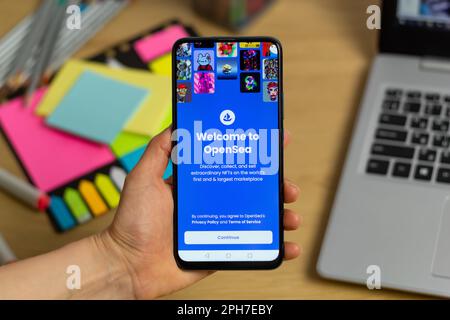 Kyiv, Ukraine - Mar. 20th, 2023: OpenSea logo on a mobile phone screen. Stock Photo