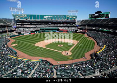 San Francisco Giants' Brett Auerbach during a spring training baseball game  in Oakland, Calif., Sunday, March 26, 2023. (AP Photo/Eric Risberg Stock  Photo - Alamy
