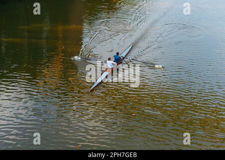 Aerial drone bird's eye view of sport canoe operated by 2 young men in turquoise clear waters. Kayaking on the river. Two young men sit in kayaks. The Stock Photo