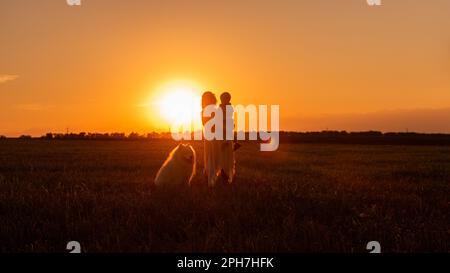 Mothers silhouette with little son in arms and Samoyed in sunset on the field. Orange natural background. Panoramic view. Traveling with children, pet Stock Photo