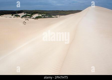 Sand dunes at Little Sahara, Kangaroo Island Stock Photo