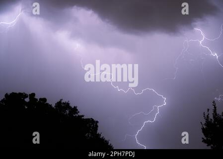 Thunder with clouds above and black silhouette trees below Stock Photo