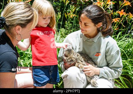 Virginia Appalachian Mountains Roanoke Mill Mountain Zoo,pets petting rabbit girl mother naturalist woman female women, Stock Photo